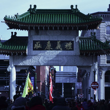 Thumb_220_chinese_tharp2
