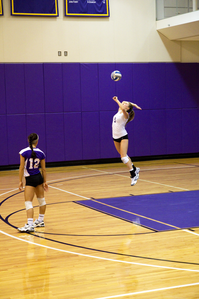 Vball5_ally