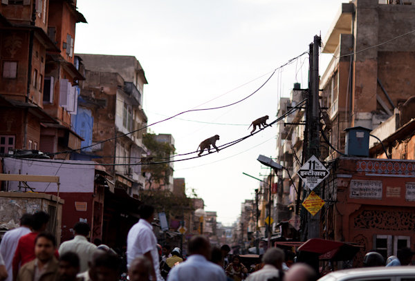 EM Postcard From India