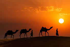<p><b>Holiday Description</b><br> 12Nights/13days Rajasthan. The tour package will cover Jaipur-2N, Ajmer/Pushkar-1N, Udaypur-2N, Mount Abu- 1N, Jodhpur-1N and Jaishalmir-2N. Visit Rajasthan 12Nights/13days includes food. This visit including Sightseeing, hotel in all place...