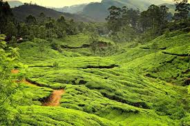 <p><b>Holiday Description</b><br> 13Nights/14days South India. The tour package will cover Chennai-2N, Tirupati-1N, Pudchery-1N, Rameswaram-2N, Madhurai-1N and Kannyakumari-2N.Visit South India 13Nights/14days includes food. This visit including Sightseeing, hotel in all place...