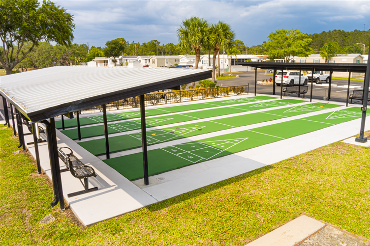 Shuffleboard