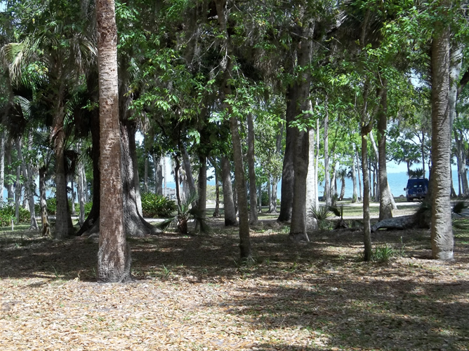 Manatee Hammock Park