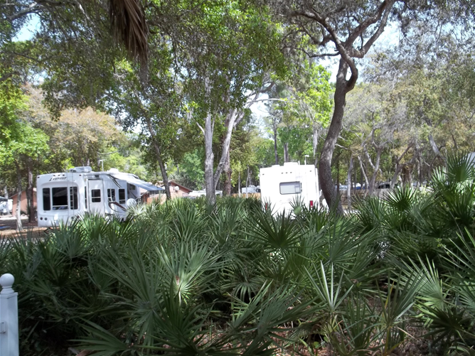 Manatee Hammock Park