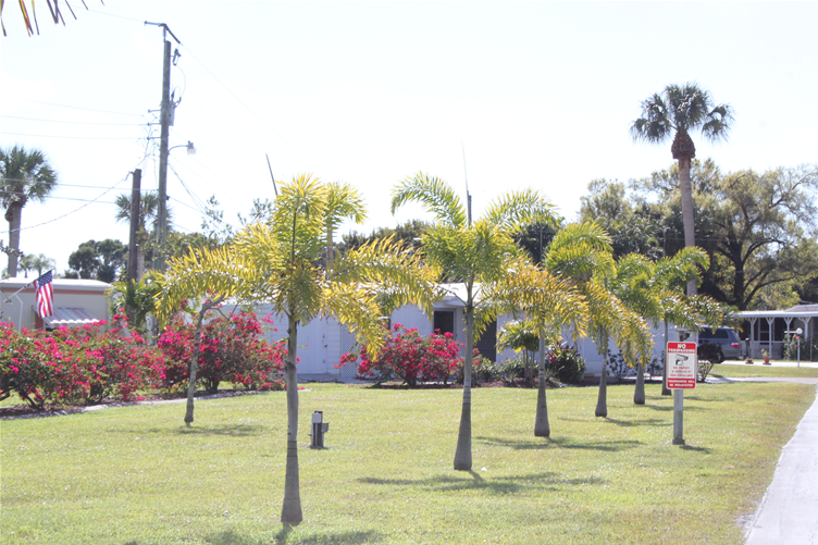 SunNFun Mobile Home Village & RV Park