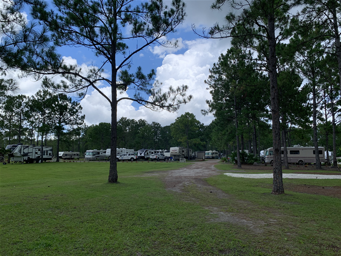 Royal Palm RV Resort & Campground