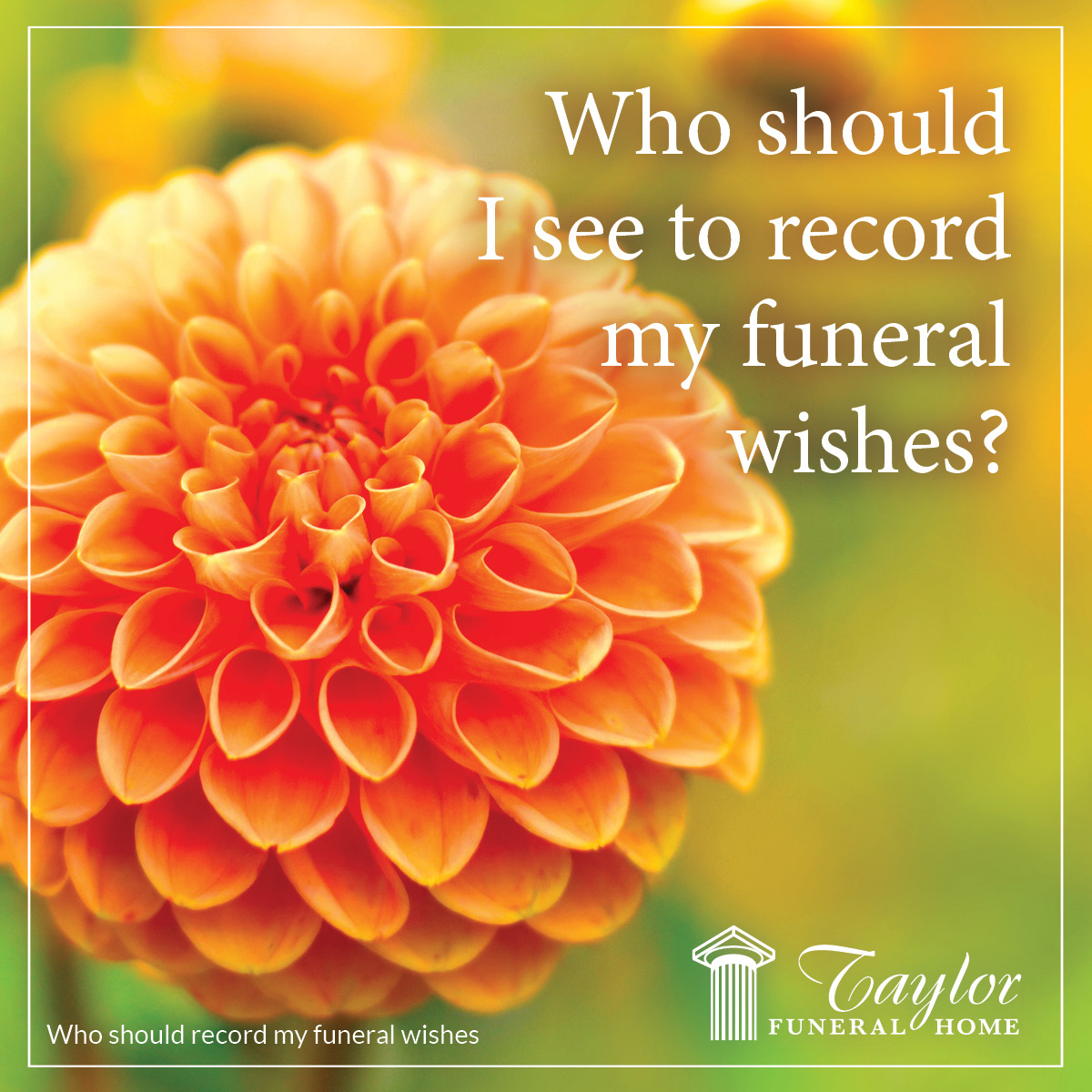Our Blog Taylor Funeral Home Timpson, TX