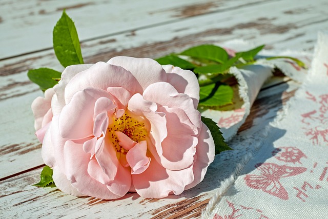 cremation services in Middle River, MD