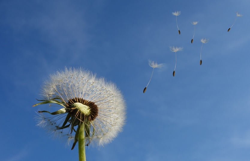 funeral homes in White Marsh, MD
