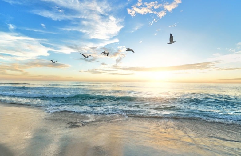 cremation services in Essex, MD