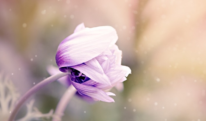 funeral homes in Essex, MD,