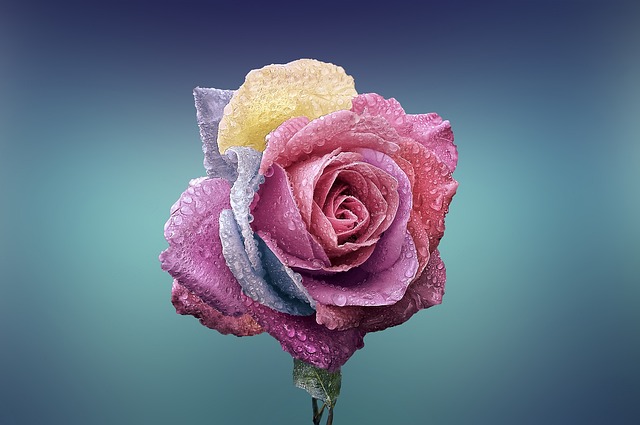 cremation in White Marsh, MD