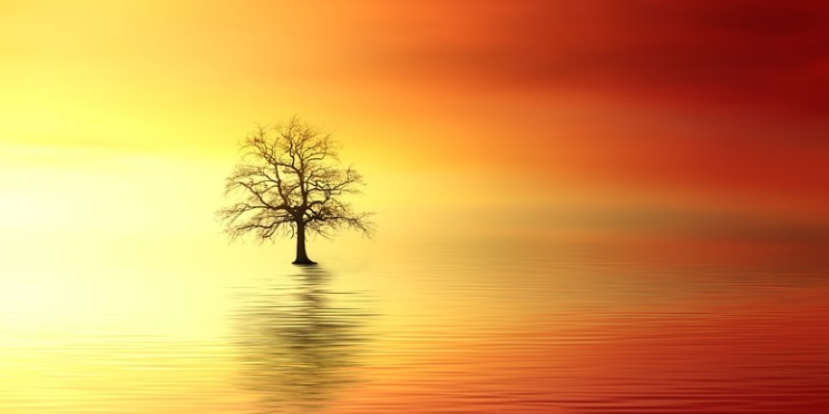 cremation services in Middle River, MD
