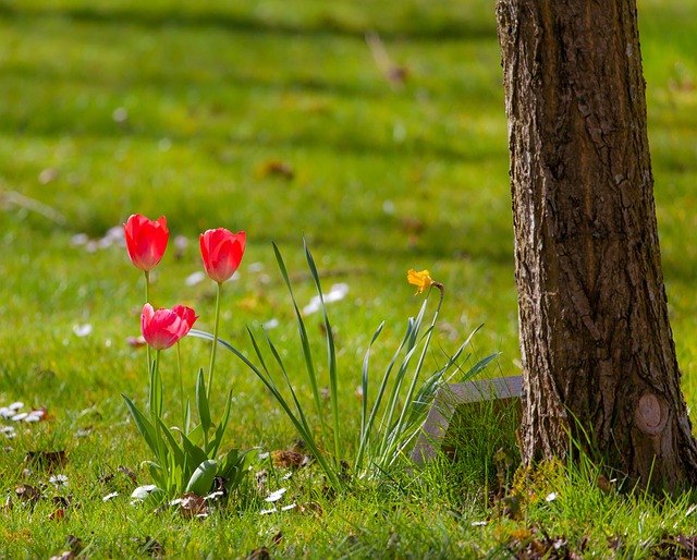 funeral homes in Essex, MD