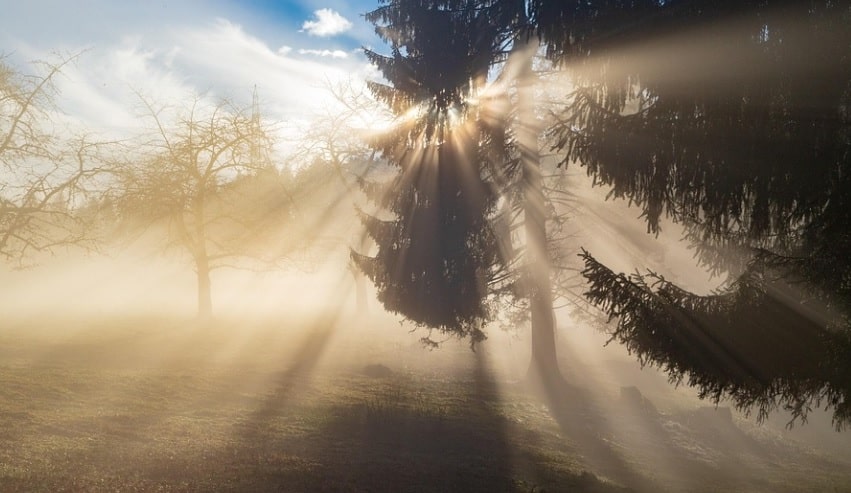 cremation services in White Marsh, MD