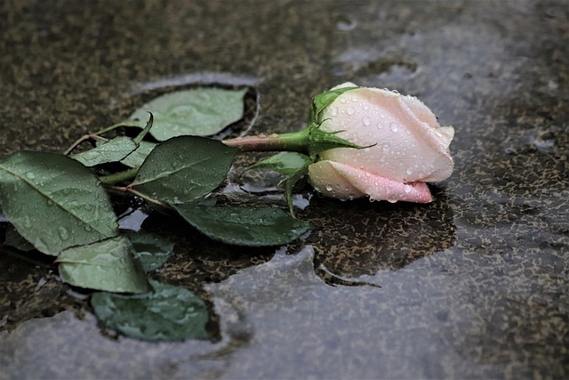 funeral homes in Middle River, MD