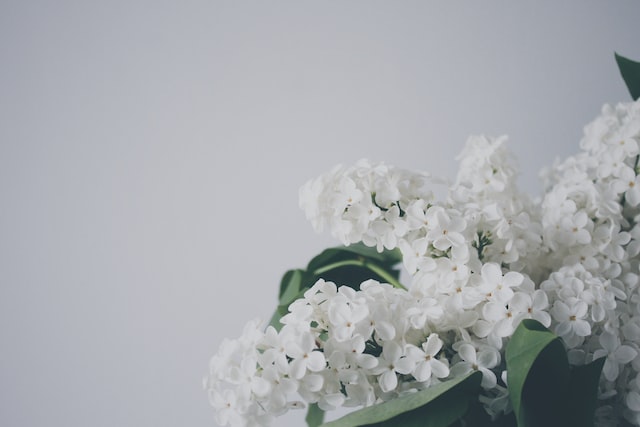 funeral homes in White Marsh, MD