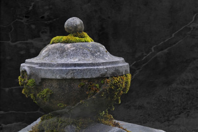 Cremation services in Essex, MD 