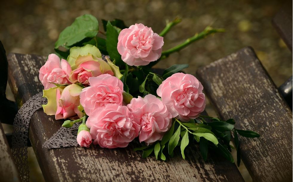 funeral homes in Airdrie, AB