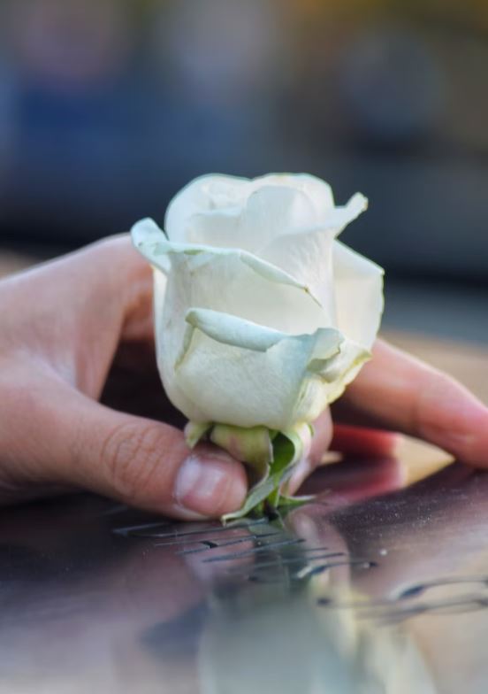 funeral home in Chestermere, AB