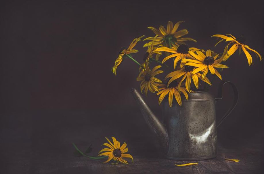 funeral homes in Calgary, AB