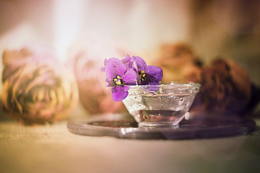cremation services in Calgary, AB