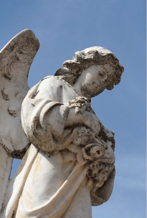 cremation services in Airdrie, AB