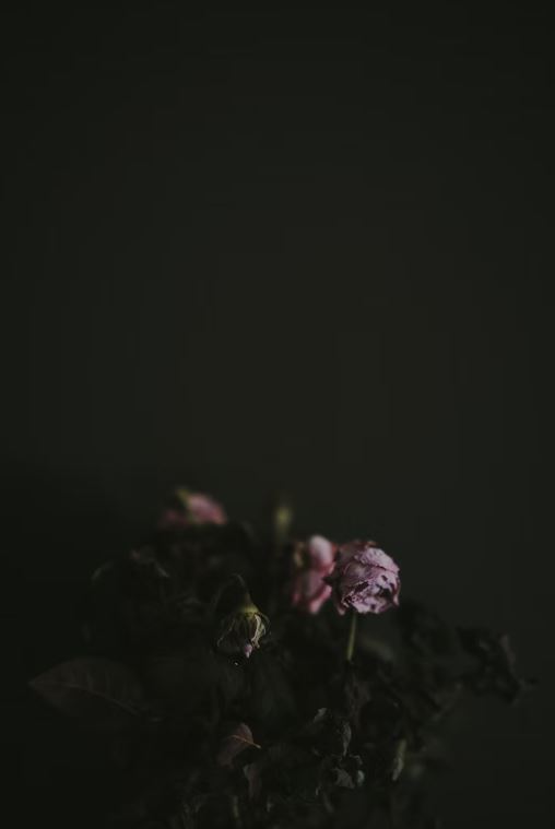 funeral homes in Airdrie, AB