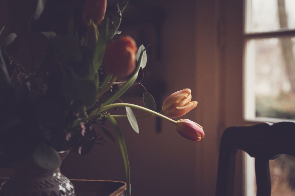 cremation services in Airdrie, AB