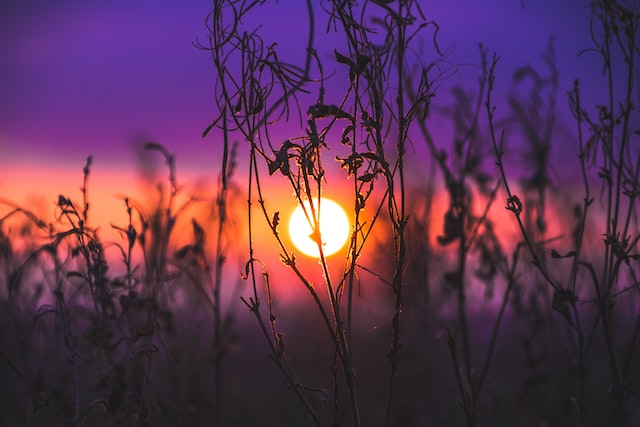 cremation services in Hamilton, OH