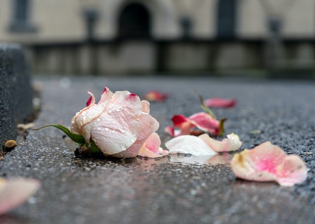 funeral homes in Mount Healthy, O