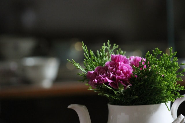 cremation services  in Cincinnati, OH