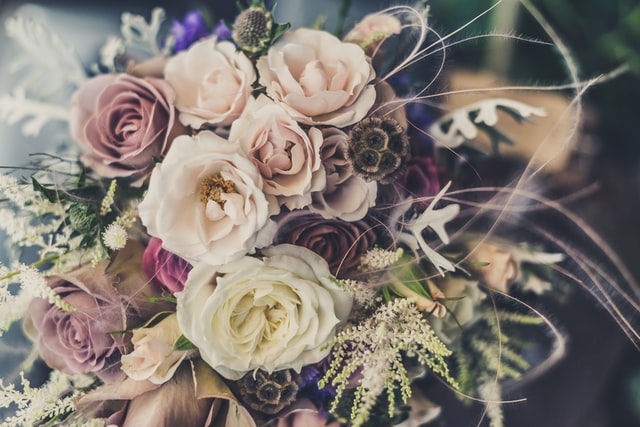 funeral homes in Airdrie, AB