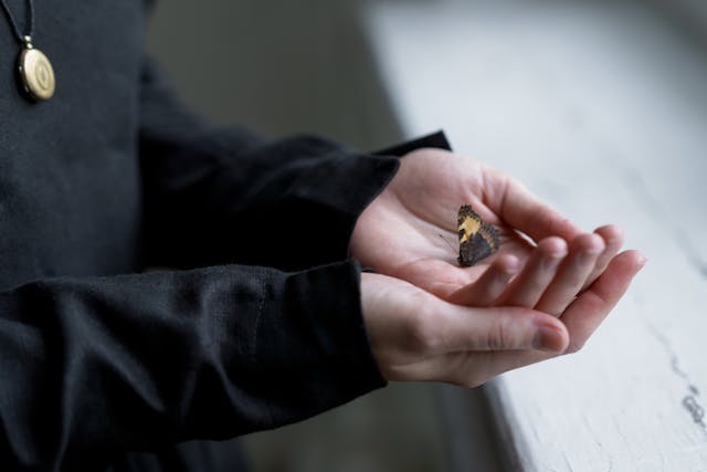 funeral homes in Calgary, AB