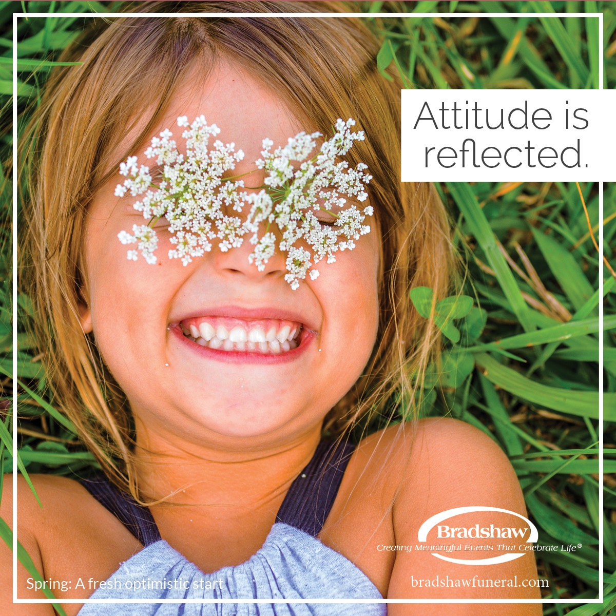 spring-a-fresh-optimistic-start