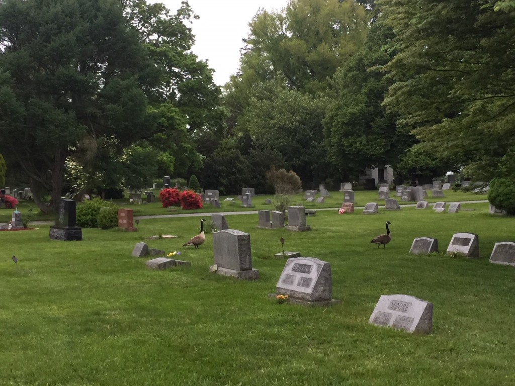 Our Facilities Longwood Funeral Home & Cremation of Matthew Genereux