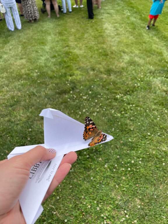 Click here to view the livestream