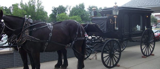 Horse-drawn Carriage