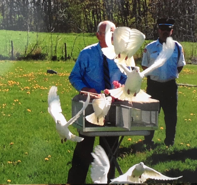 We feature Dove releases.