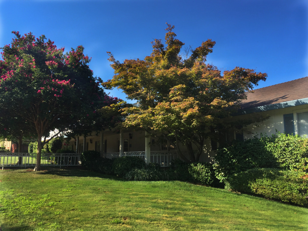 Our Facilities Rose Chapel Mortuary and Crematory Paradise CA