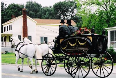 Horse Drawn Carriage Available for Services