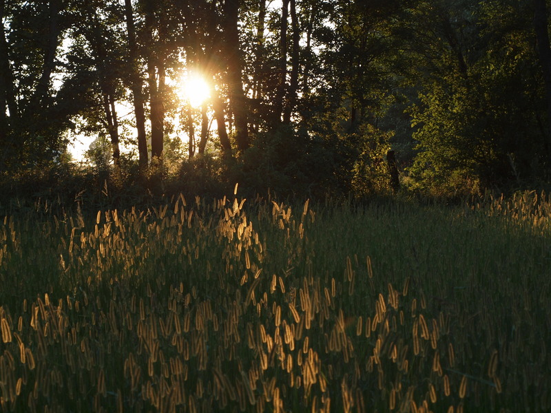 Stacey & Kaine,<br />Always remember:God is our portion, Christ our Companion, The Holy Spirit our Comforter, earth our lodge and Heaven our Home<br />We Love You