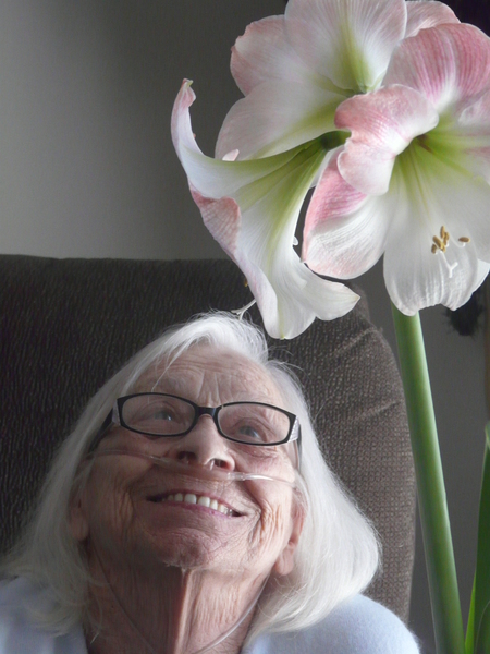 Polly with her January 2014 amaryllis...<br />Love that smile!