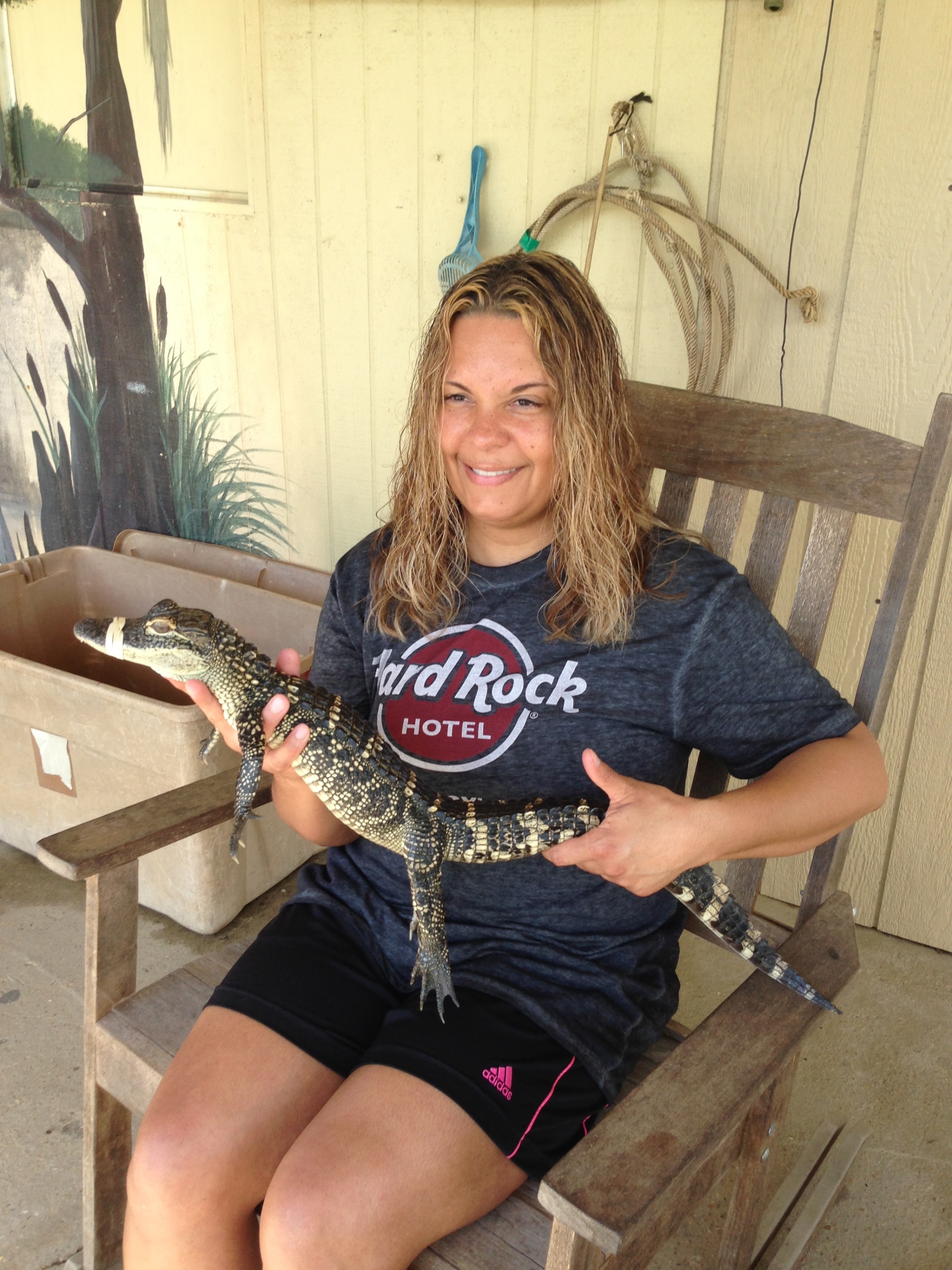 Live Gator Pascagoola, MS 2015