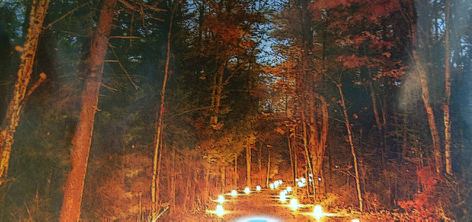 Lighted path for Mr. Charles Chuck Wayne Crawford.