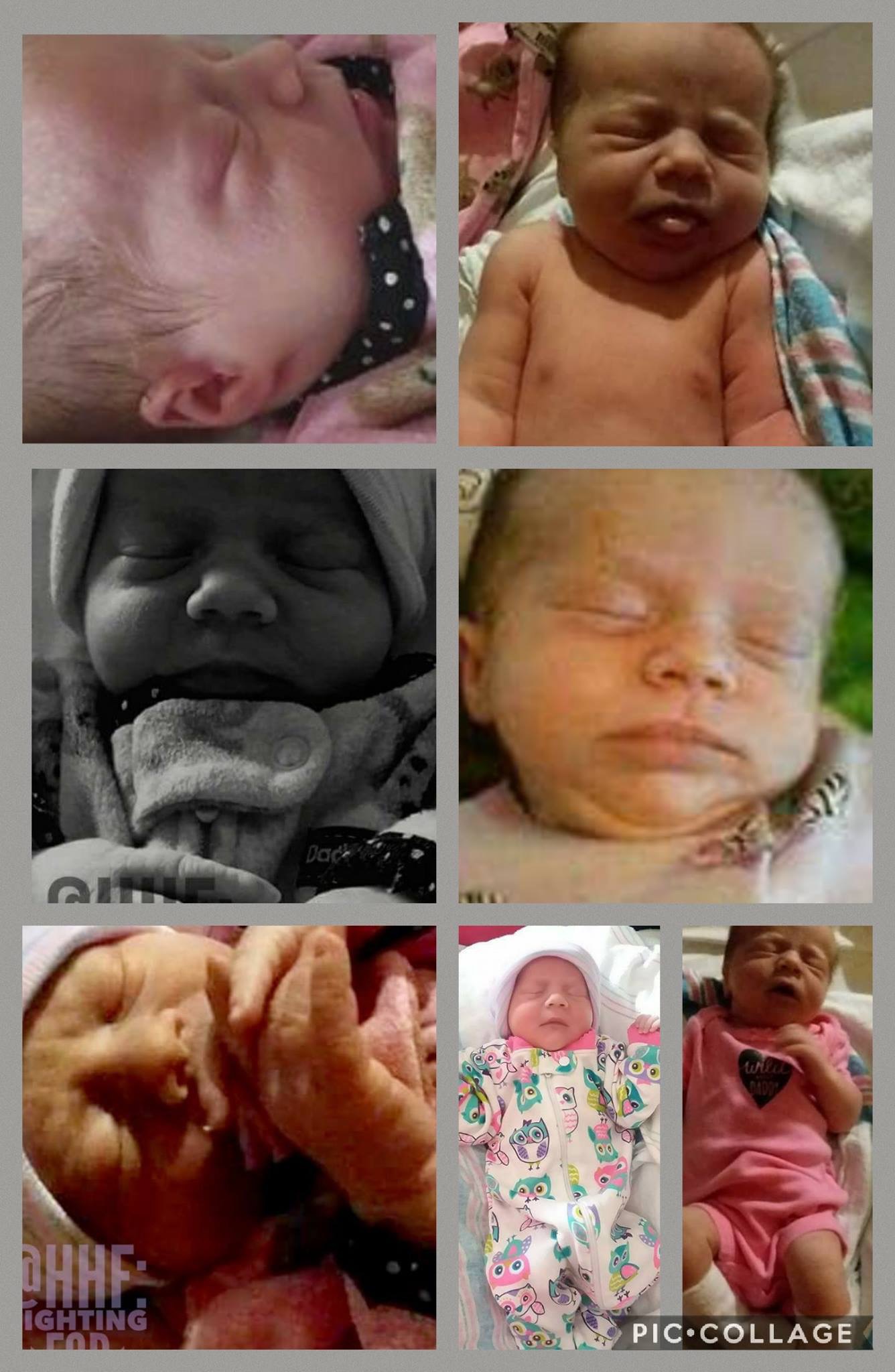 Obituary for Caliyah Claire McNabb (Photo album)