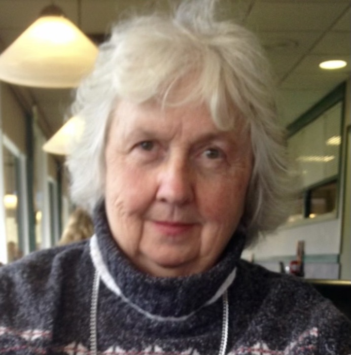 Obituary for Phyllis Canfield Demyan AclyStover Funeral Home