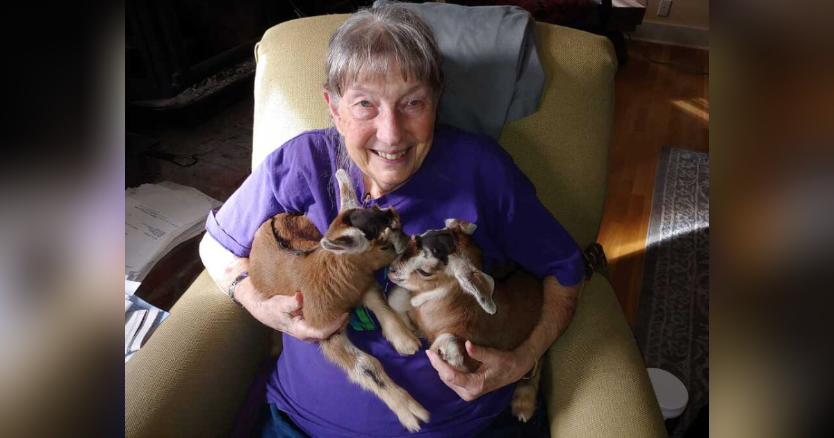 Connie Wood Obituary November 24, 2022 Kendrick McCartney Johnson