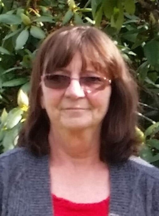 Bonnie Malloy Obituary November 5, 2022 Nanty Glo, PA