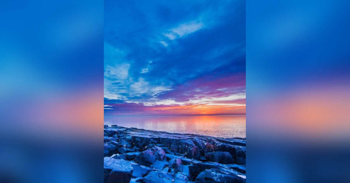 Judith "Judi" Rautio